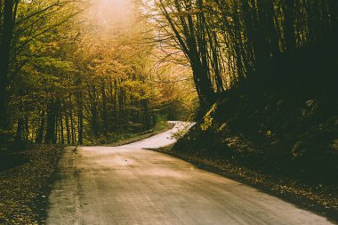 Güzel sonbahar manzarası