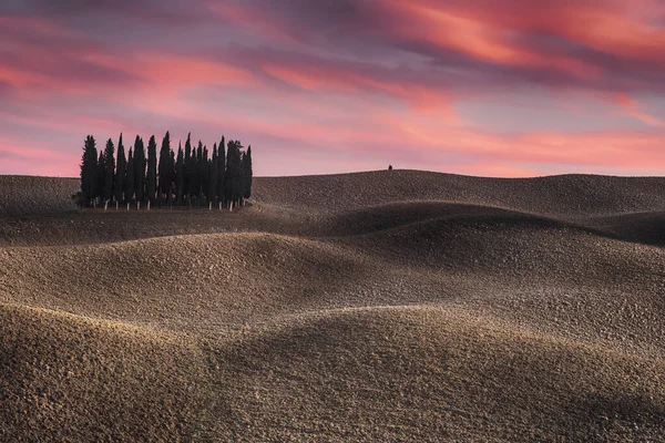 Paisagem da Toscana com cipreste — Fotografia de Stock