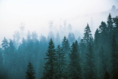 Sisli dağ manzarası