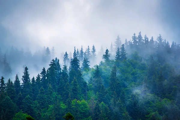 Paesaggio di montagna nebbioso — Foto Stock