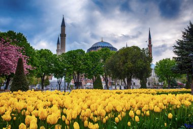 İstanbul 'daki Mavi Cami