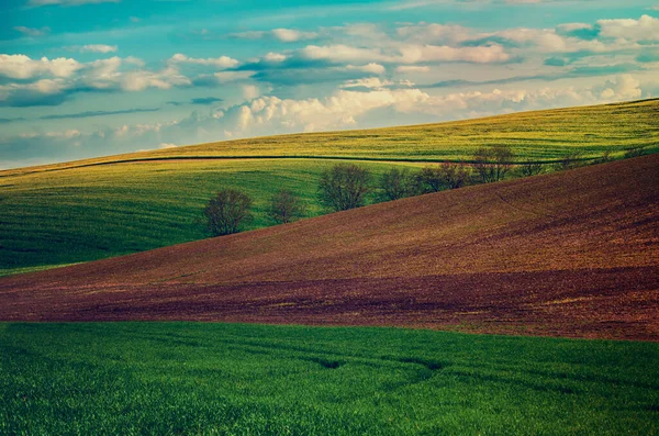 Ländliche Frühlingslandschaft — Stockfoto