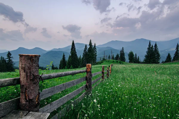 Montagna paesaggio estivo — Foto Stock