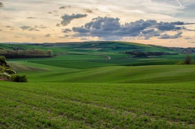 Kırsal ilkbahar manzarası