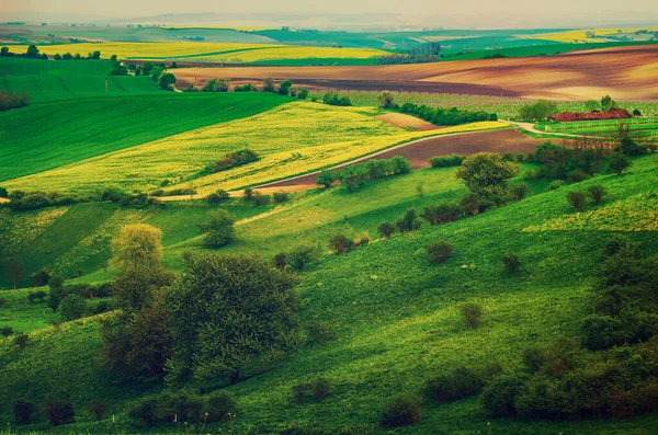 Wiosenny krajobraz obszarów wiejskich — Zdjęcie stockowe