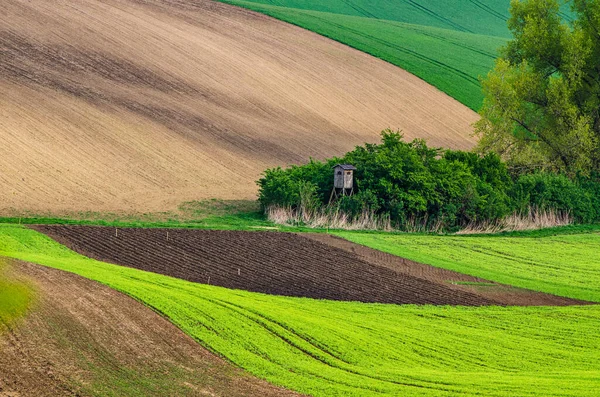 Wiosenny krajobraz obszarów wiejskich — Zdjęcie stockowe