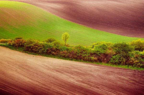 Paisaje rural de primavera — Foto de Stock