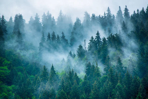 Paesaggio di montagna nebbioso — Foto Stock