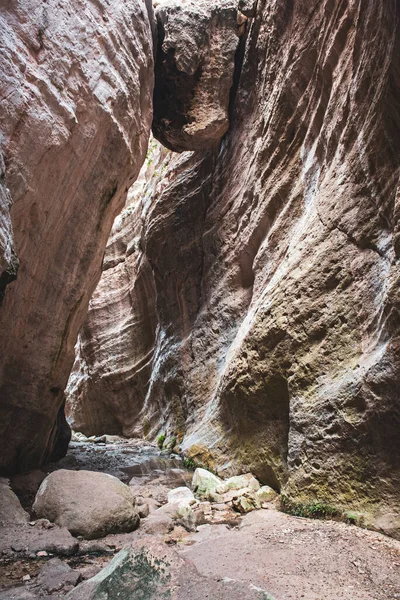 The Avakas canyon — Stock Photo, Image