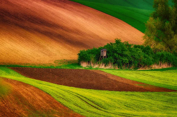 Paisaje rural de primavera — Foto de Stock