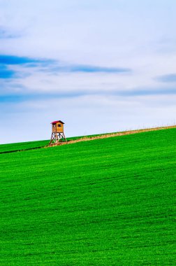 Kırsal ilkbahar manzarası