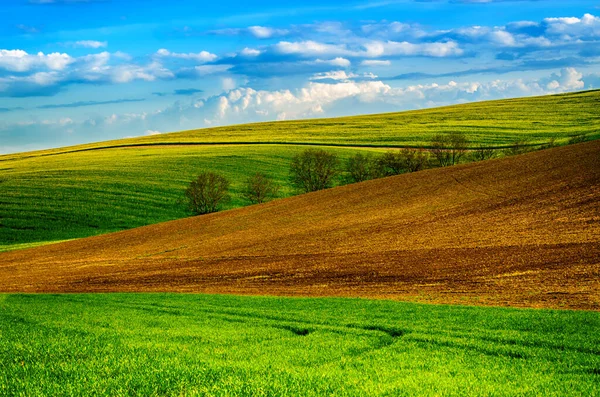 Ländliche Frühlingslandschaft — Stockfoto