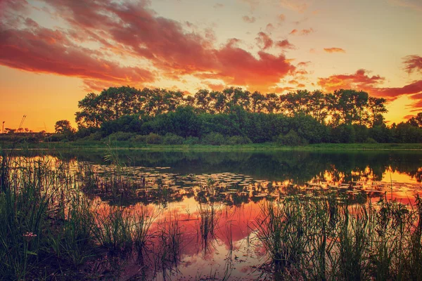 Prachtige zomer zonsondergang — Stockfoto