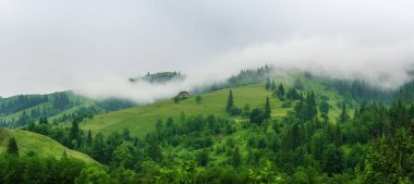 Yeşil bir dağ yamacında küçük bir ev