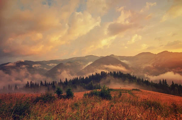 Foggy paesaggio mattutino — Foto Stock