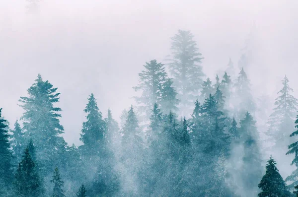 Misty paisaje de montaña — Foto de Stock