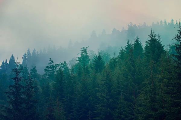 Paisagem montanhosa nebulosa — Fotografia de Stock