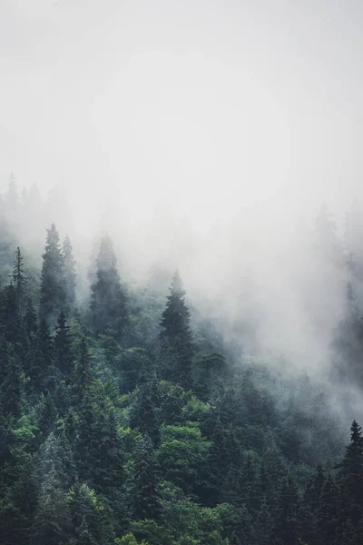 Nebelige Berglandschaft — Stockfoto