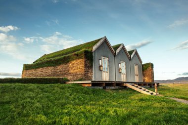İzlanda 'daki çimenlik evler