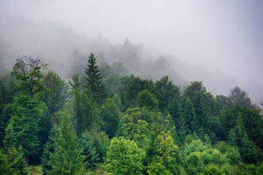 Sisli dağ manzarası