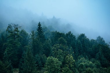 Sisli dağ manzarası