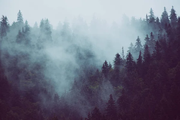 Paesaggio di montagna nebbioso — Foto Stock