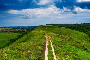 Kırsal yaz manzarası