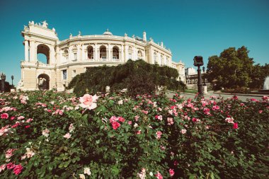 Odessa 'daki opera binası.