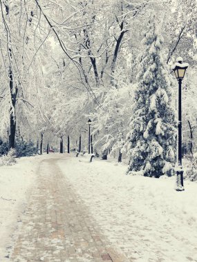 Kış Şehir Parkı