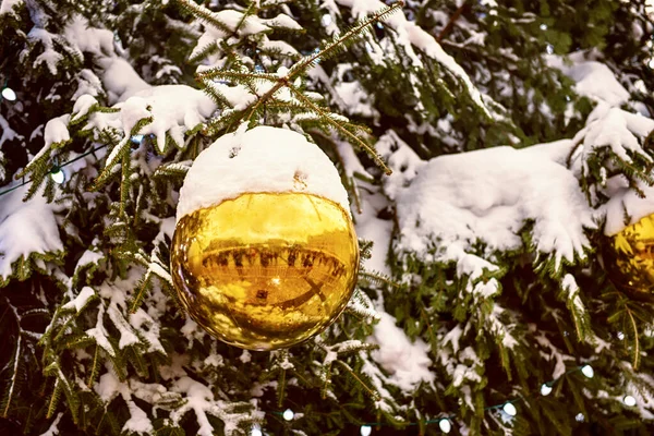 Χριστουγεννιάτικη μπάλα σε δέντρο — Φωτογραφία Αρχείου