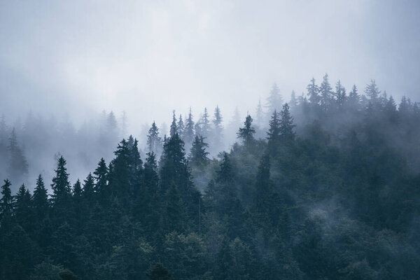 Misty mountain landscape