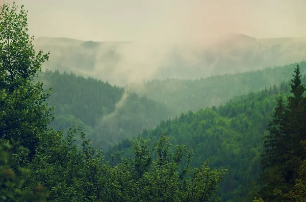 Mlhavá ranní krajina — Stock fotografie