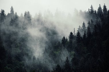 Sisli dağ manzarası