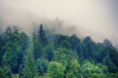Sisli dağ manzarası