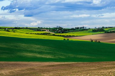 Kırsal ilkbahar manzarası