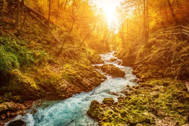 Ünlü Vintgar Vadisi Kanyonu, Bled, Ulusal Park Triglav, Slovenya, Sonbaharda Avrupa, mevsimlik manzara