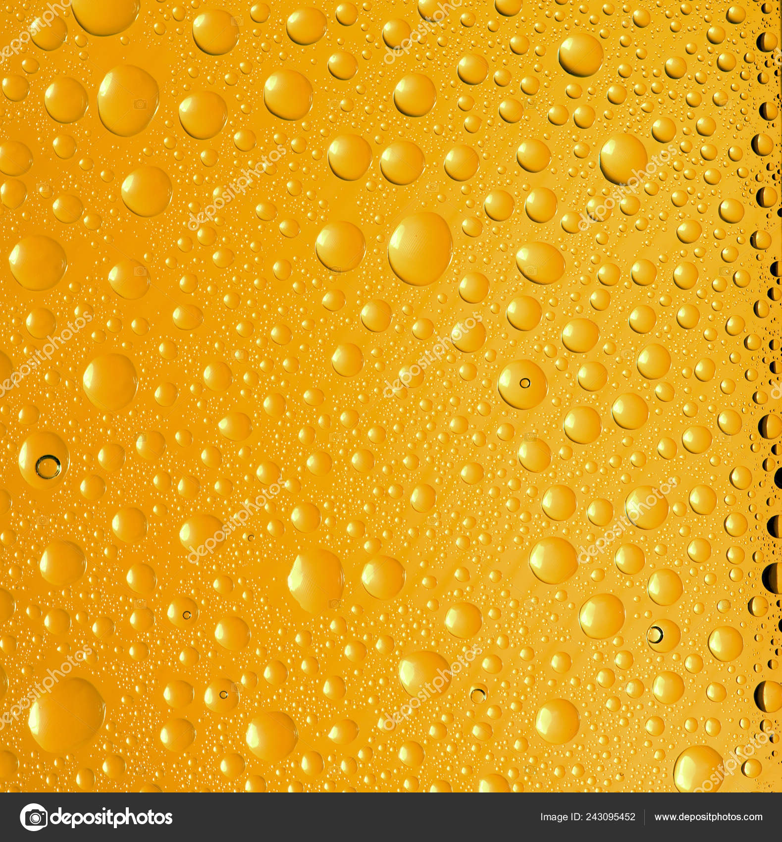 Yellow Water Drops Background Close Water Drops Stock Photo Image By C Fanfon