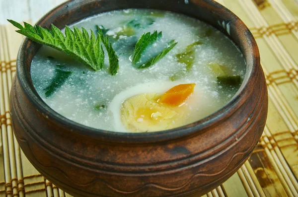 Spring vegetable soup nettle. — Stock Image Spring vegetable soup nettle. Stock Image