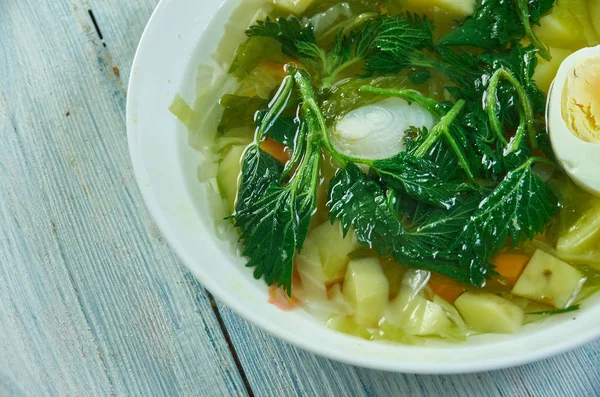 Spring vegetable soup nettle with egg — Stock Image Spring vegetable soup nettle with egg Royalty Free Stock Photos