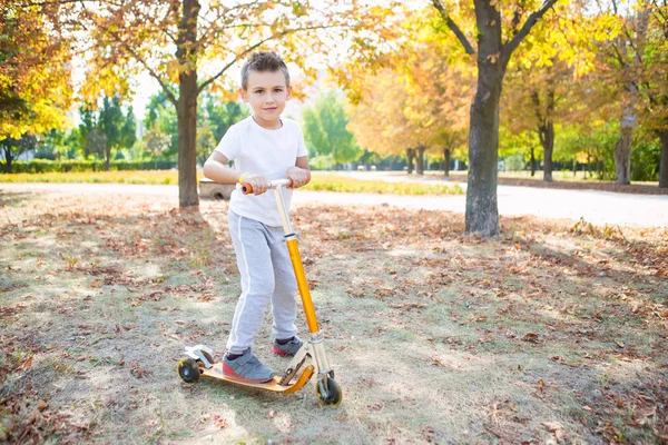 快乐的小男孩骑摩托车在秋天的公园 — 图库照片