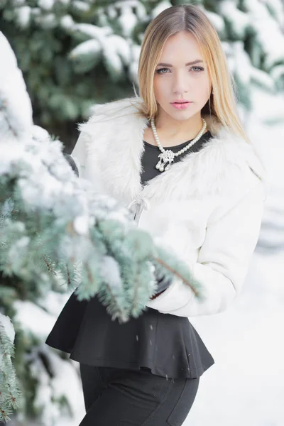 Glamour Ung Blondin Poserar Vinter Skog — Stockfoto