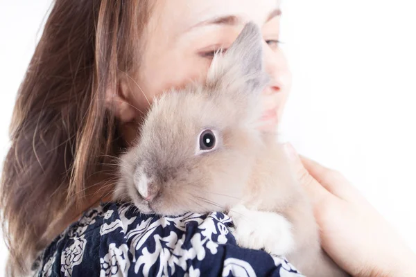 Small Funny Dutch Decorative Rabbit Sits Shoulder Loving Caring Hostess — Stock Photo, Image