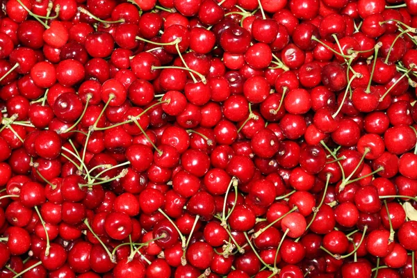 Cerezas Fondo Rojo Maduro Delicioso Fondo Cerezas —  Fotos de Stock