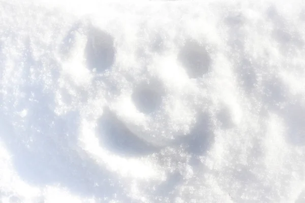 Veselý Obličej Sněhu — Stock fotografie