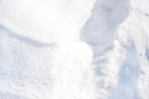 Soğuk Kış Beyaz Toz Halinde Kar — Stok fotoğraf