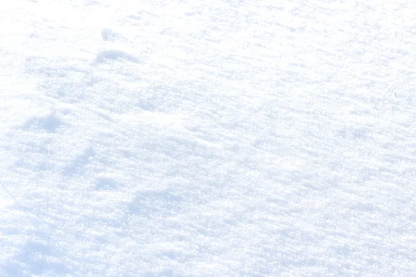 Frosty Winter White Powdery Snow — Stock Photo, Image