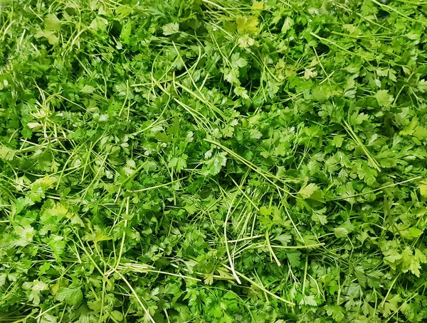 Juicy Green Sliced Parsley Leaves Summer Diet Background — Stock Photo, Image