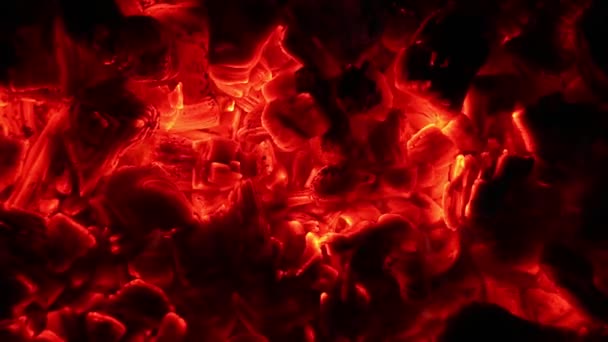 Campfire τέφρα κάρβουνα φωτιάς στο σκοτάδι — Αρχείο Βίντεο