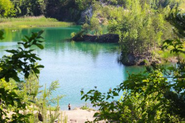 Dağlardaki göl ve yukarıdaki yeşil orman ağaçları. Güzel güneşli manzara