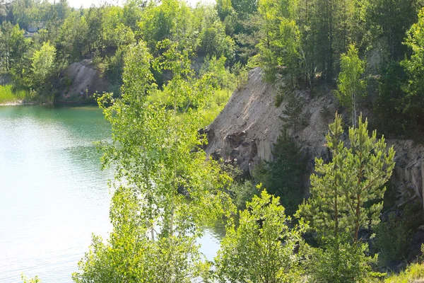 Lago Árvores Verdes Vista Cima Bela Paisagem Ensolarada — Fotografia de Stock